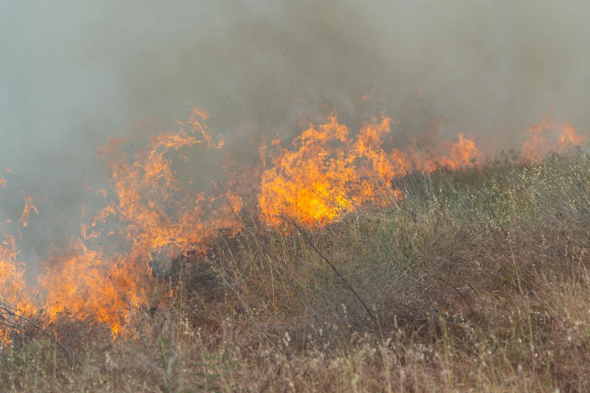 Byron vegetation fire