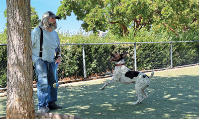 Bring Your Dog to the Park this Summer!