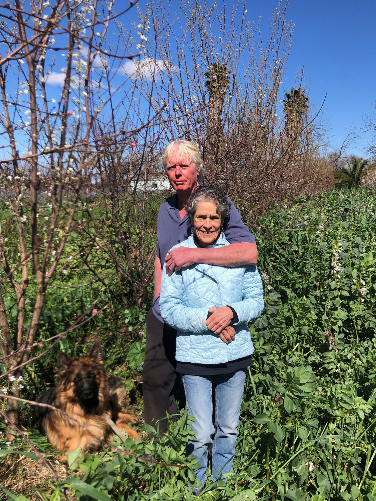 Knoll Farms still growing strong Features