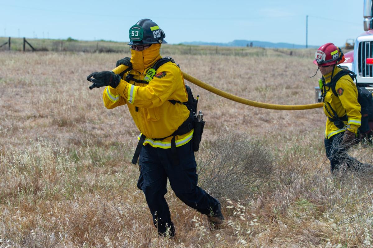 Byron vegetation fire