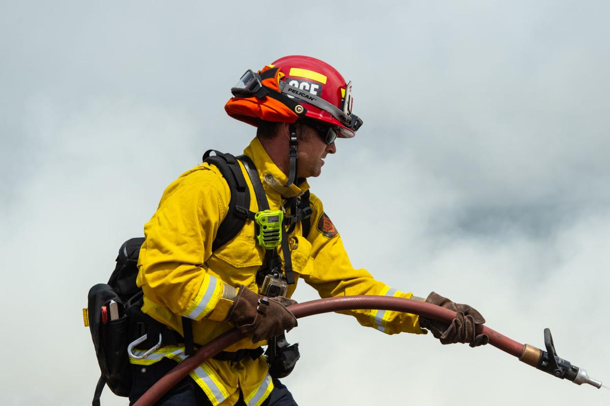 Byron vegetation fire