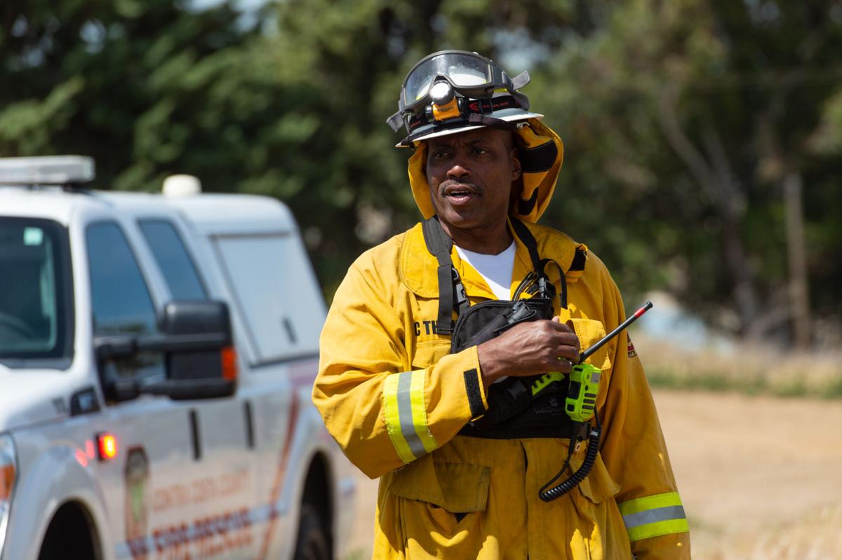 Byron vegetation fire