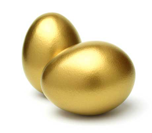 Find the free cash in golden eggs courtesy of The Alarm Guys | Living ...