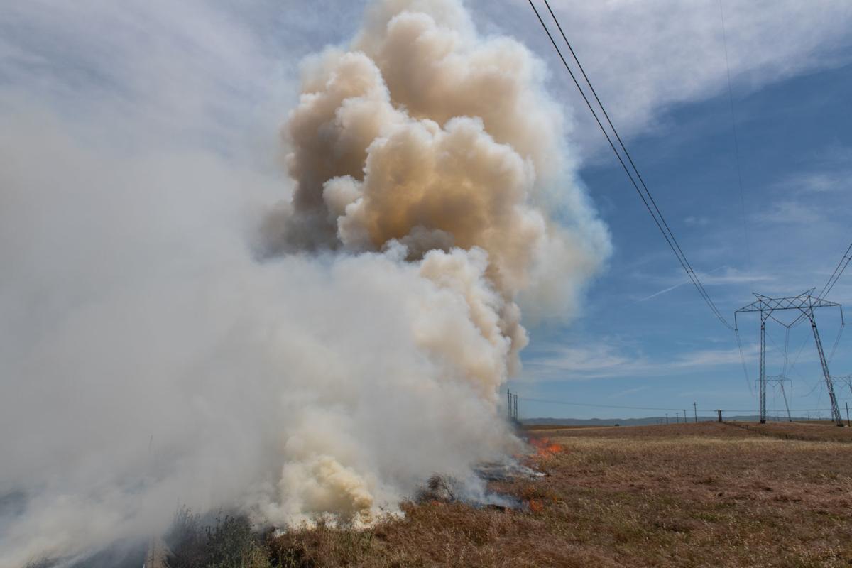 Byron vegetation fire