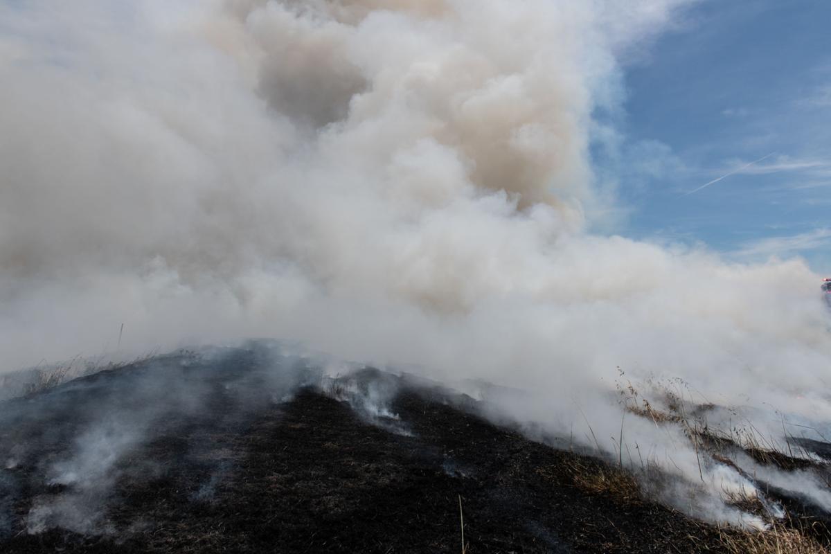 Byron vegetation fire
