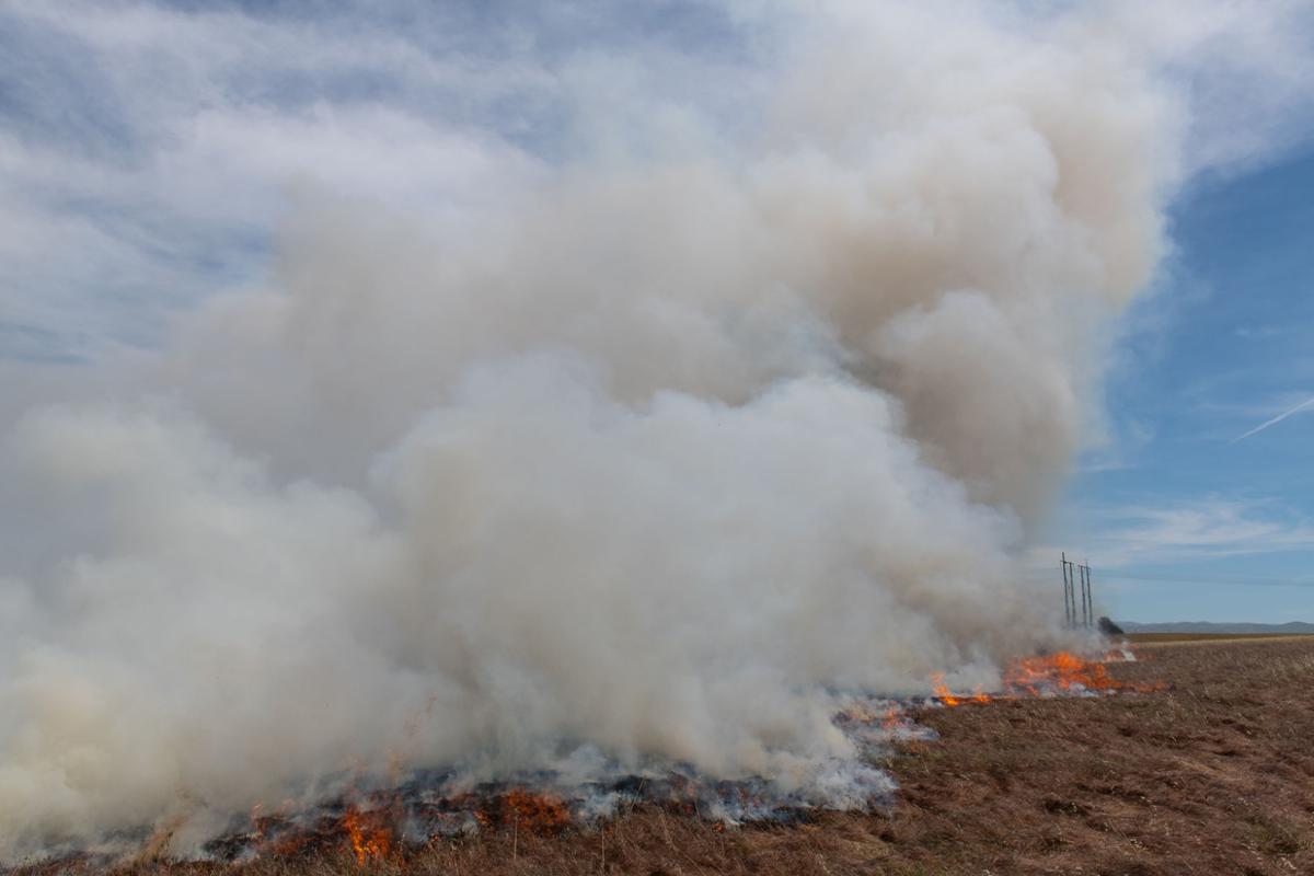Byron vegetation fire