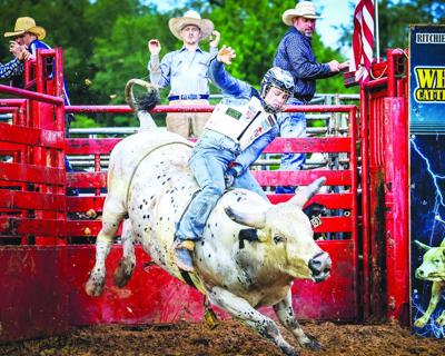 Fast Tracks, Big Horns Coming to Ritchie County Fair | News ...