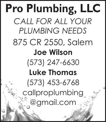180095 Pro Plumbing, LLC