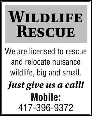 185423 Wildlife