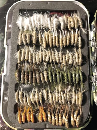 Submitted.Bill Cooper for 7-12-23.jpg