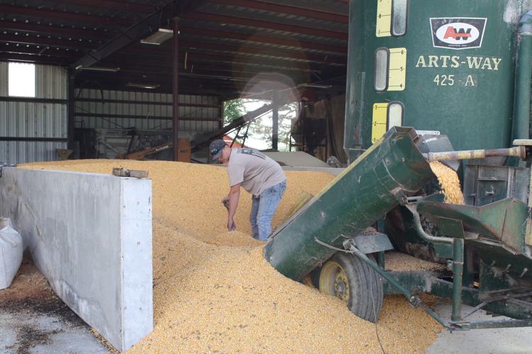 Networth Feeds and Feeding