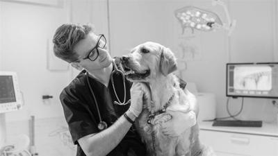 Six questions you should ask your veterinary technician during your next visit