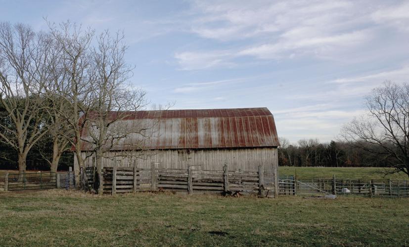 Spring Creek Farms Barn (Bressie) (Wisdom)