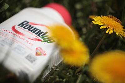 Monsanto Charged $2 Billion In Damages For Weed Killer Roundup Cancer Lawsuit