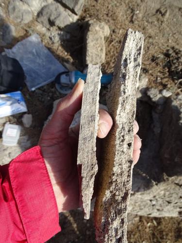 Water in Pompeii’s Roman baths was contaminated, reveals new research