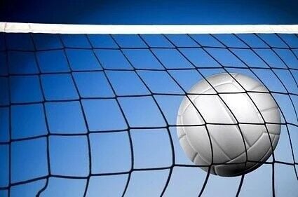 Tiger Volleyball.jpg