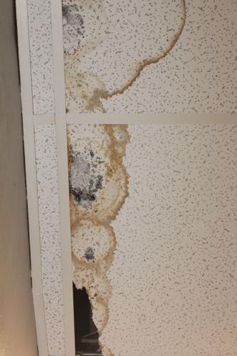 Mold leaching into work areas