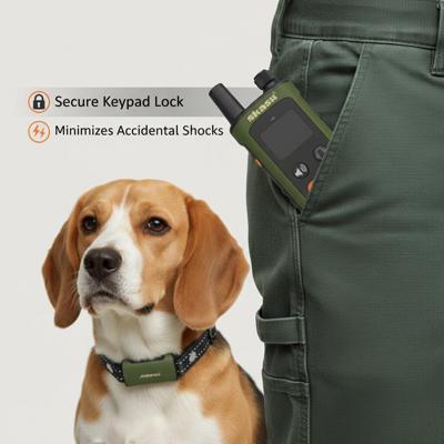 Skasii Reinvents Dog Training Collar with Remote to Improve Communication