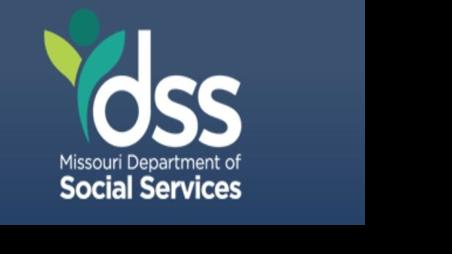 DSS logo