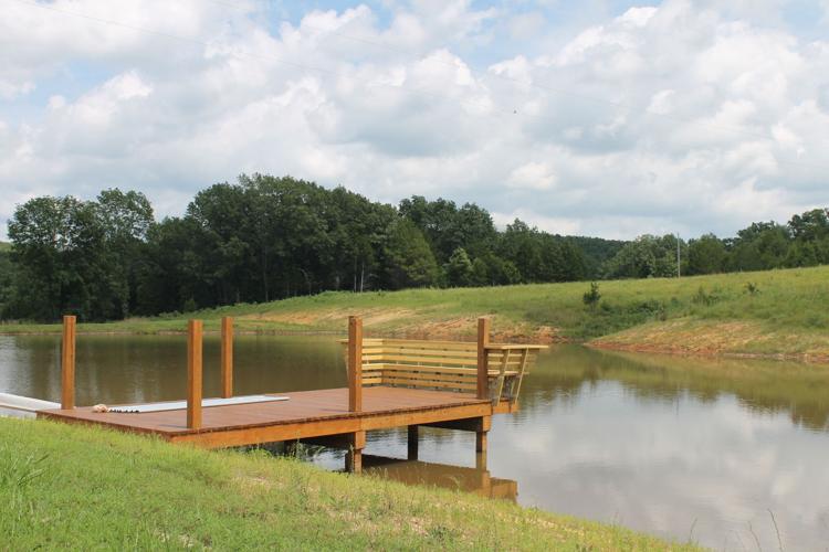 Lake border the vineyard