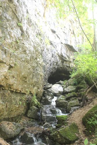 A typical Ozarks spring cave