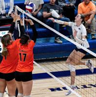 Salem seeded fourth in Class 3 District 9