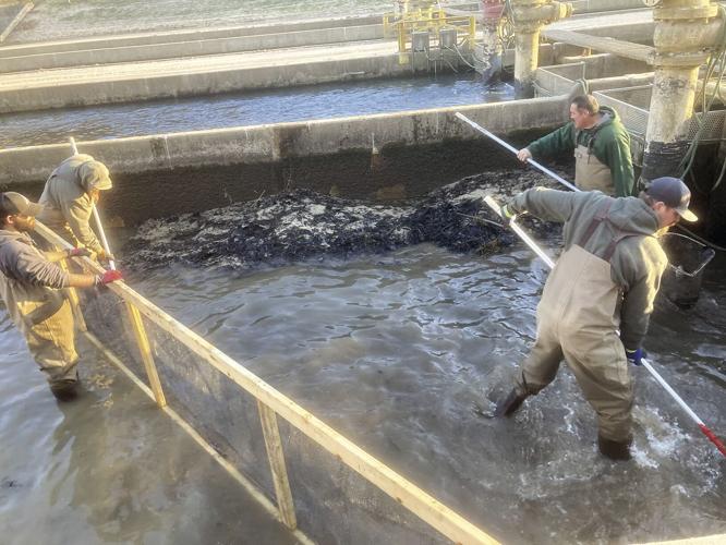 Montauk.submitted (4).jpg