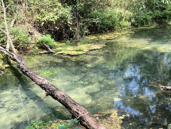 Lane Spring