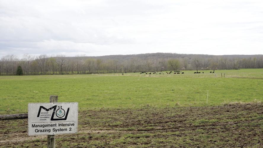 06616.grazingsystem2sign.05.03.2022JPG