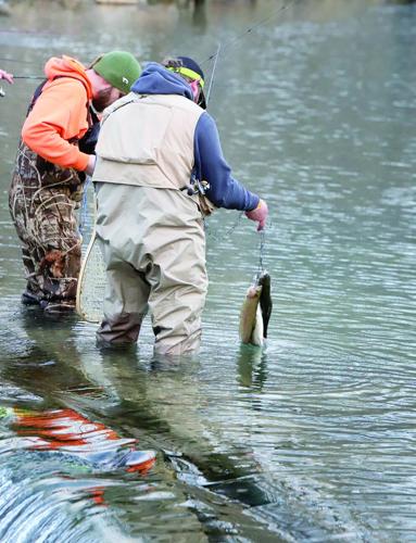 A full stringer was a common sight as anglers reported great fishing experiences opening day.