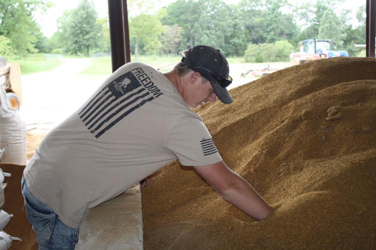 Networth Feeds and Feeding