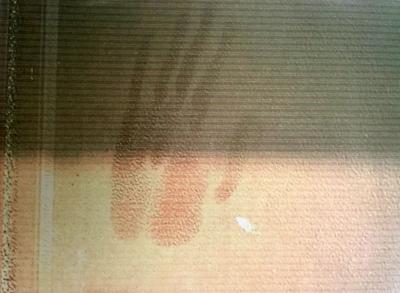 Bigfoot hand print