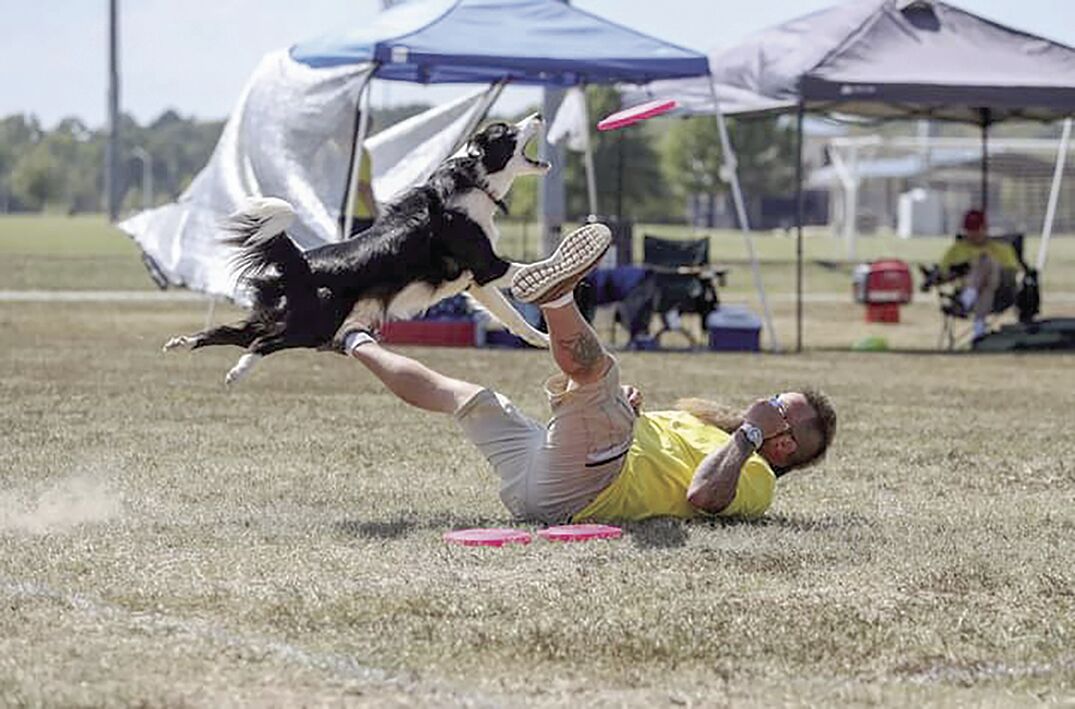 flying disc freestyle