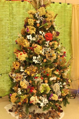 Tree and Trains 2016