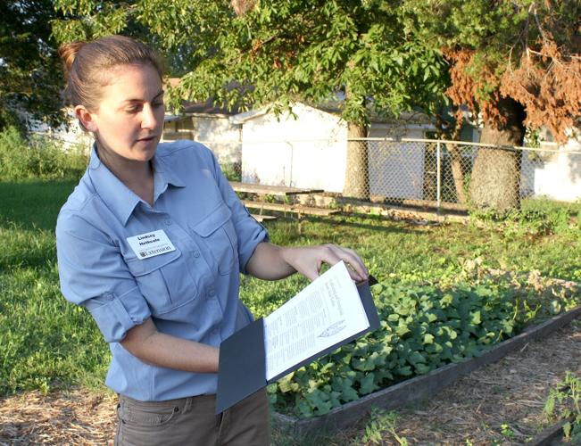 Hethcote.SeedSaving.08.22.17.jpg