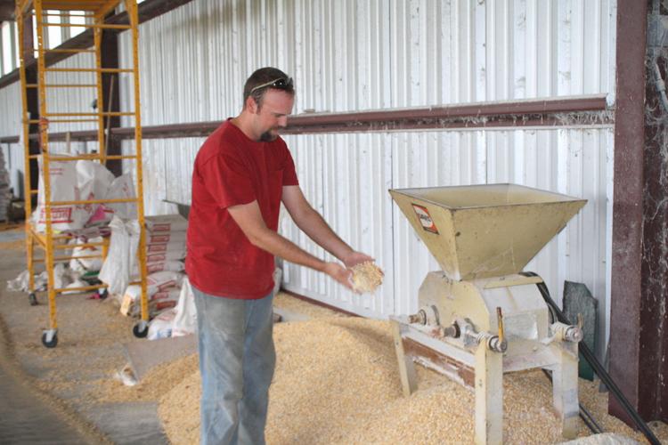 Networth Feeds and Feeding