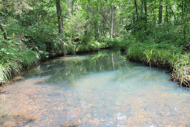 Natural spring at the botton of Bates Hollow