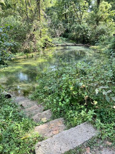 Lane Spring