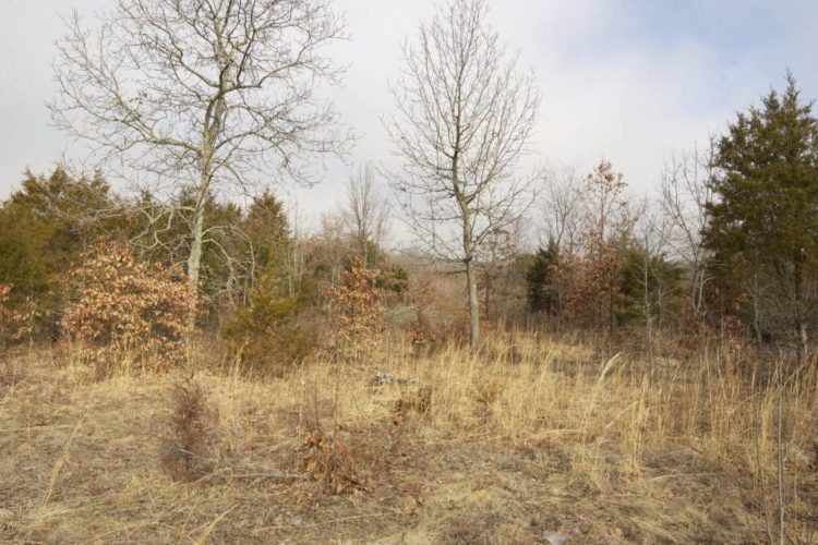 White River Trace Conservation Area