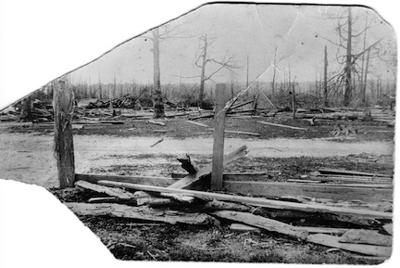 Cyclone damage
