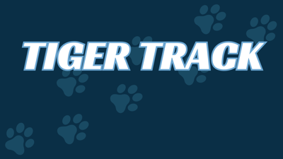 Tiger Track (1600 × 900 px)