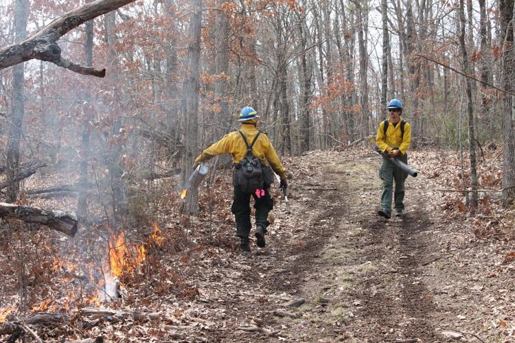 The fireline on Jerktail Mountain