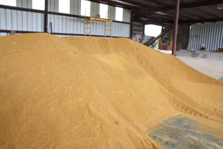 Networth Feeds and Feeding