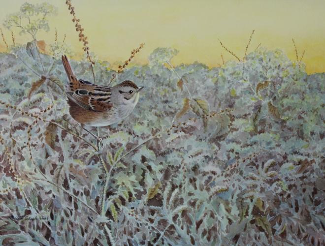 IMG_8319 - cropped.jpg