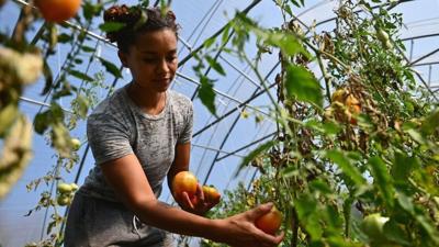 10 Black-led food justice organizations you should know about