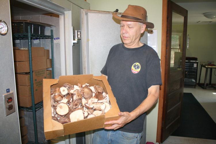 Dan Hellmuth with shiitakes