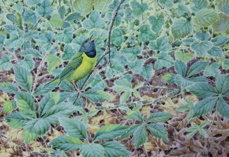 IMG_8323 - cropped.jpg