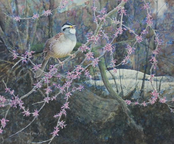 IMG_8325 - cropped.jpg