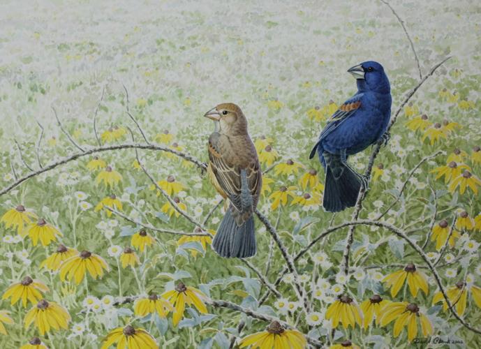 IMG_8329 - cropped.jpg