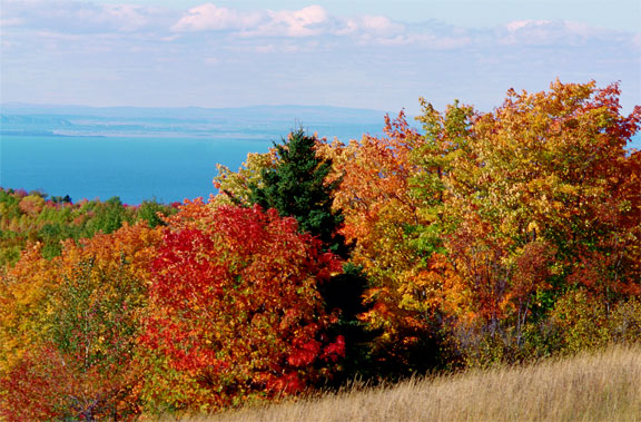 Fall Color Should Be Good But Short Lived Local News Thesalemnewsonline Com